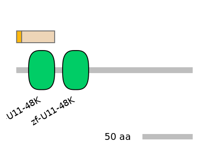 HsaEX0029062-EXC