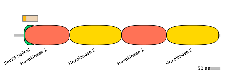 HsaEX0030075-EXC