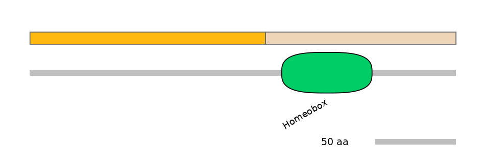 HsaEX0030378-EXC