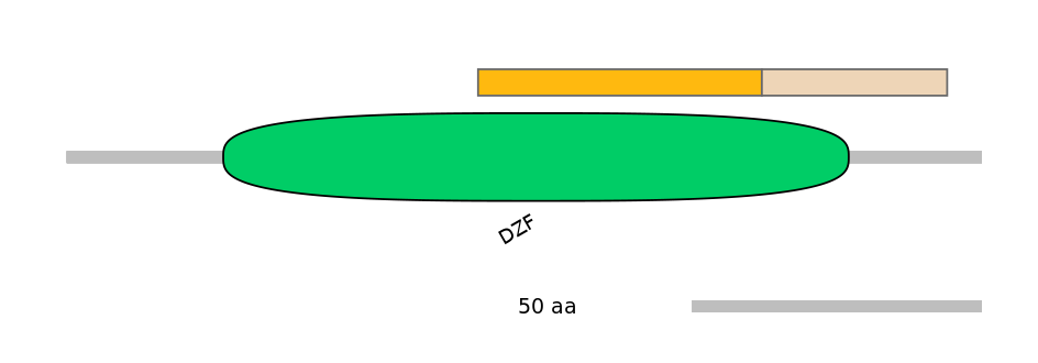 HsaEX0031552-EXC