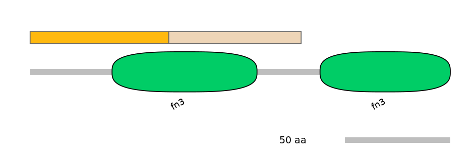 HsaEX0032470-EXC