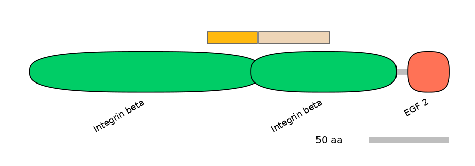 HsaEX0032475-EXC