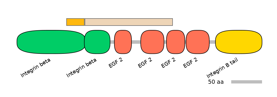 HsaEX0032476-EXC