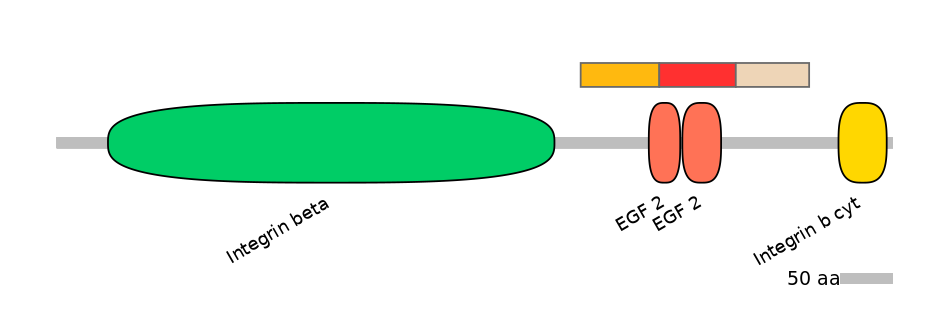 HsaEX0032485-INC