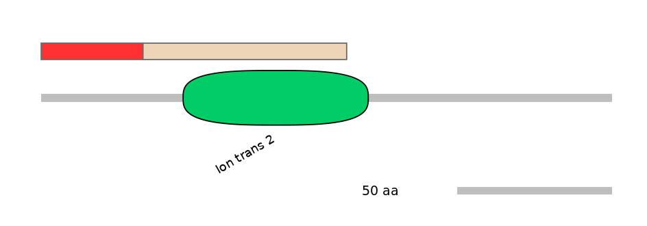 HsaEX0032995-INC