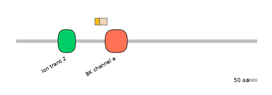 HsaEX0033121-EXC