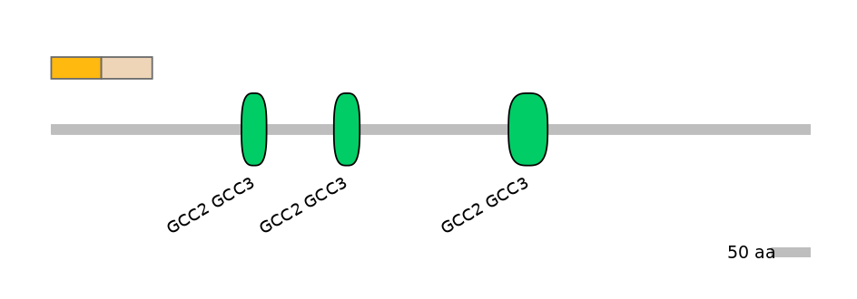 HsaEX0034027-EXC
