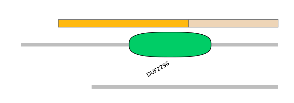 HsaEX0034246-EXC
