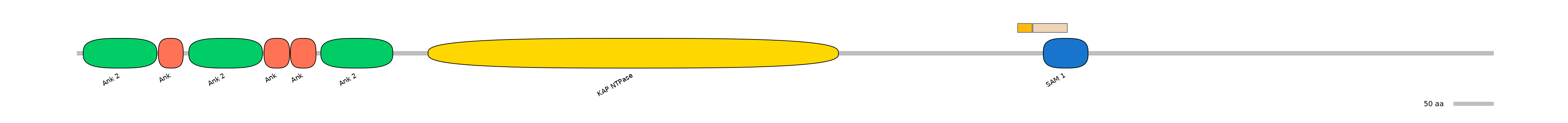 HsaEX0034355-EXC