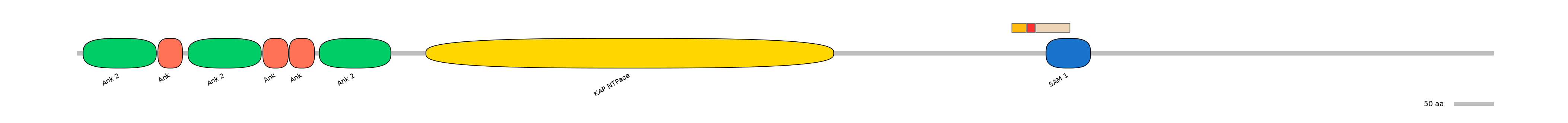 HsaEX0034355-INC