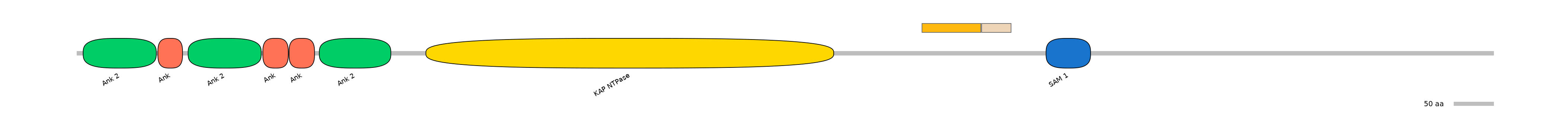 HsaEX0034362-EXC
