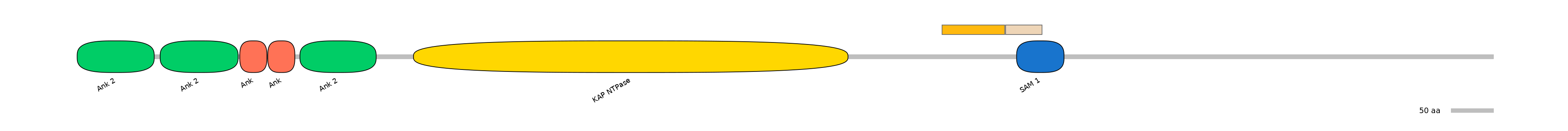 HsaEX0034363-EXC