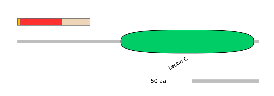 HsaEX0034919-INC