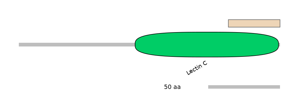 HsaEX0034921-EXC