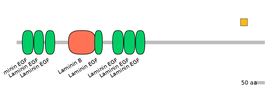 HsaEX0035303-EXC