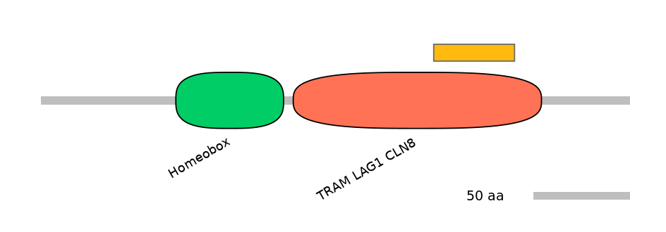 HsaEX0035436-EXC