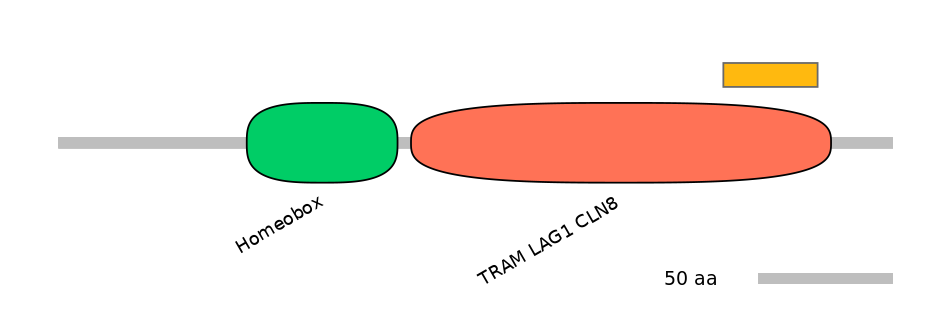 HsaEX0035438-EXC