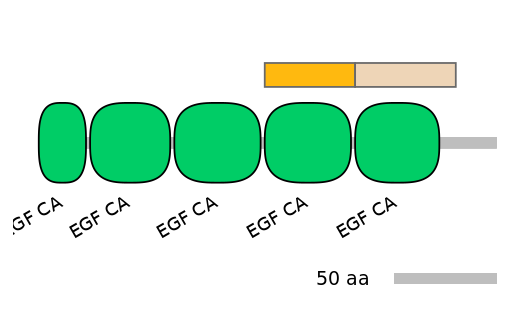 HsaEX0036952-EXC