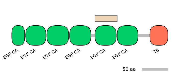 HsaEX0036955-EXC