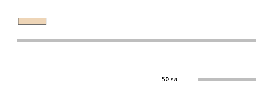 HsaEX0037058-EXC