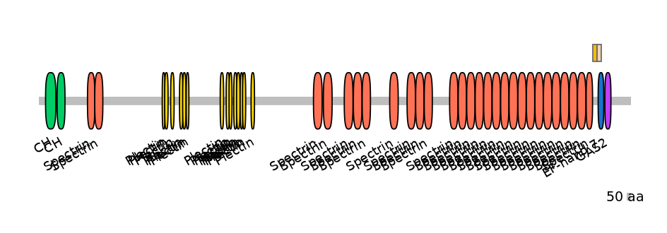 HsaEX0037158-EXC