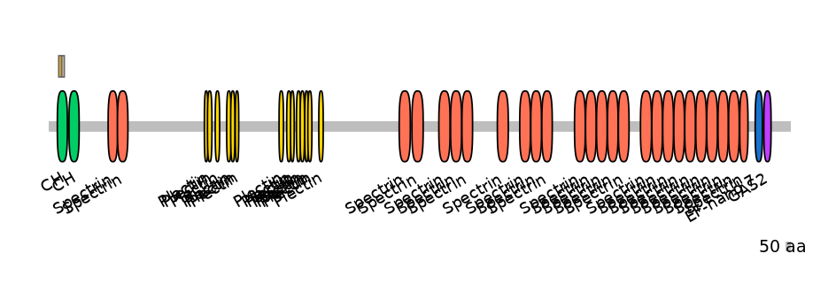 HsaEX0037160-EXC