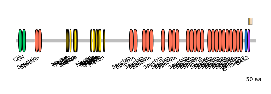 HsaEX0037161-EXC