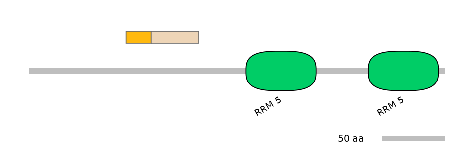 HsaEX0038049-EXC