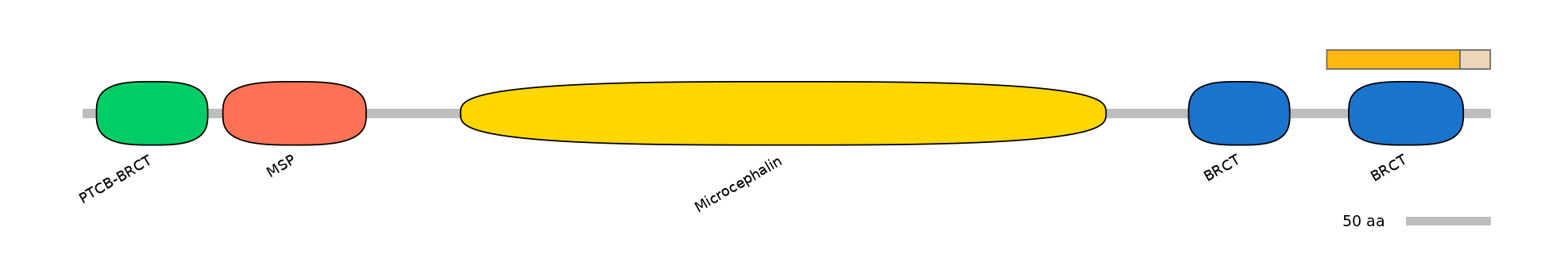 HsaEX0038309-EXC