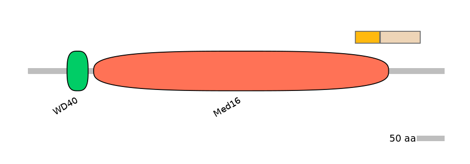 HsaEX0038607-EXC