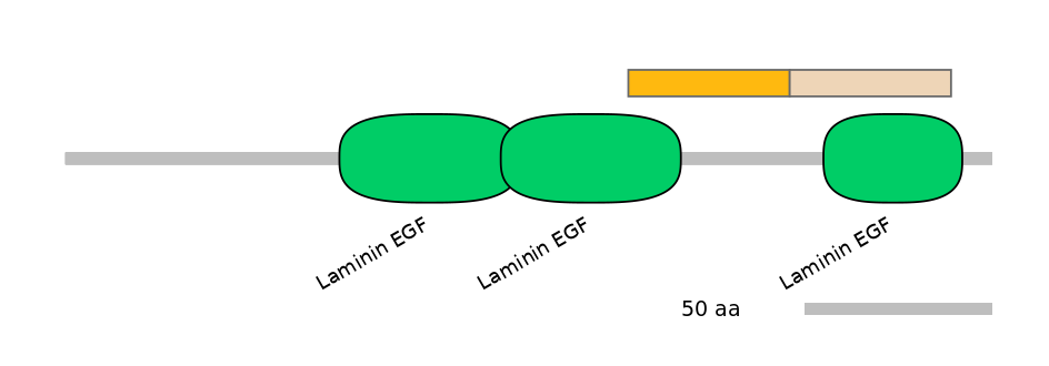 HsaEX0038743-EXC
