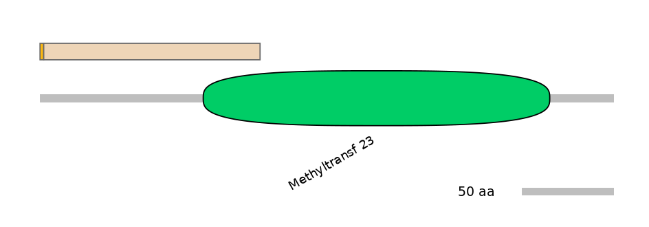 HsaEX0038906-EXC