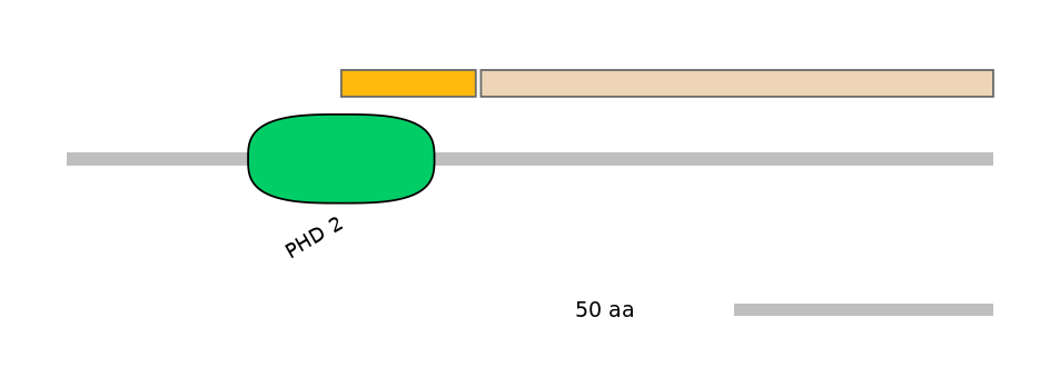 HsaEX0039534-EXC
