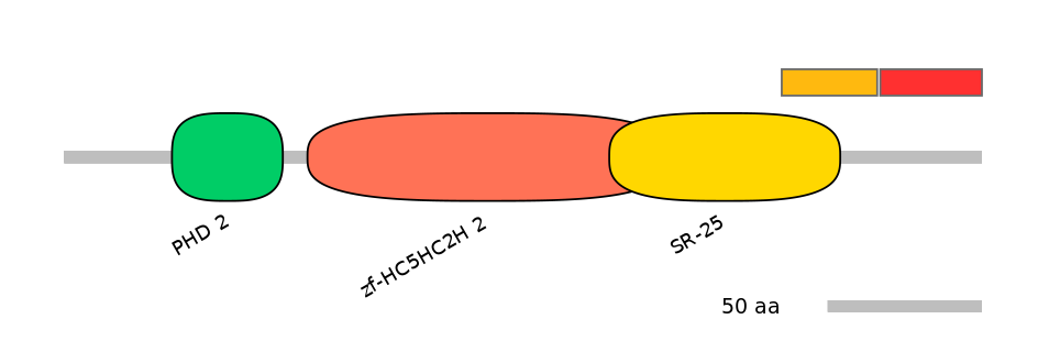 HsaEX0039546-INC