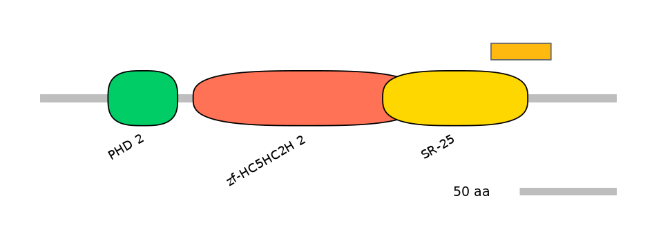 HsaEX0039547-EXC
