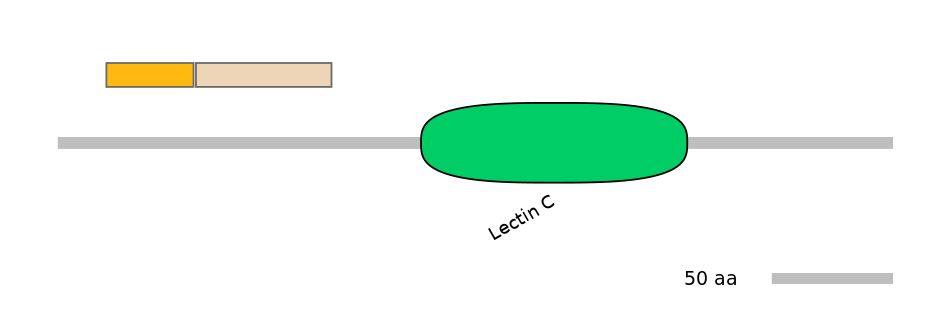 HsaEX0040061-EXC