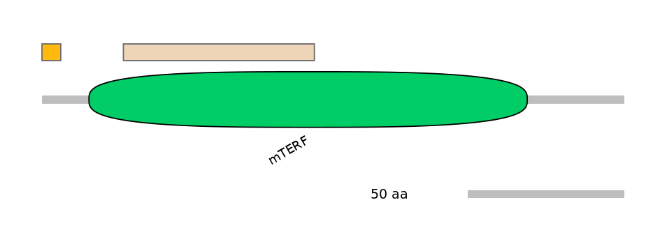 HsaEX0040439-EXC