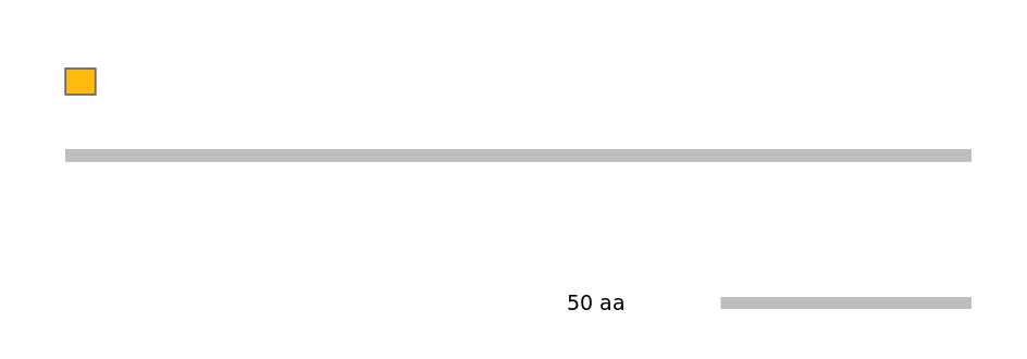 HsaEX0040441-EXC