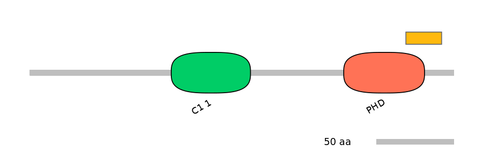 HsaEX0040460-EXC