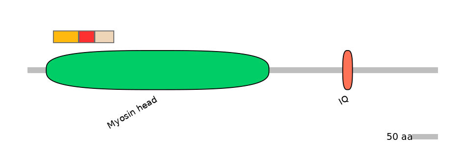 HsaEX0041071-INC