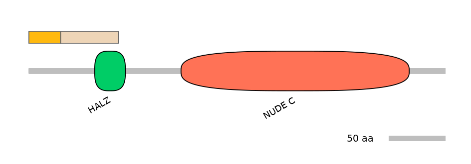 HsaEX0042215-EXC