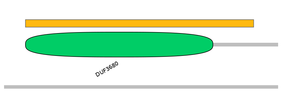 HsaEX0042216-EXC