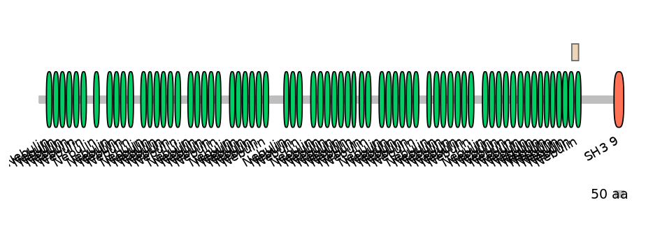 HsaEX0042348-EXC