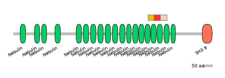 HsaEX0042355-INC