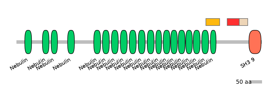 HsaEX0042359-INC