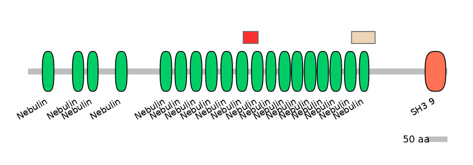 HsaEX0042367-INC