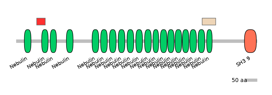 HsaEX0042371-INC