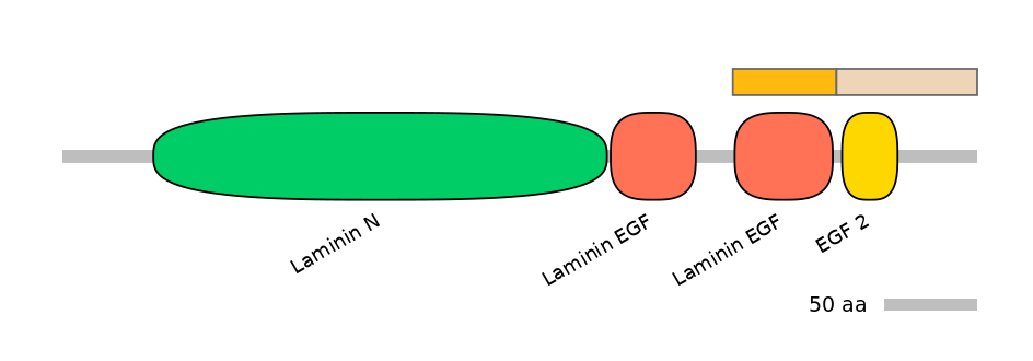 HsaEX0044074-EXC