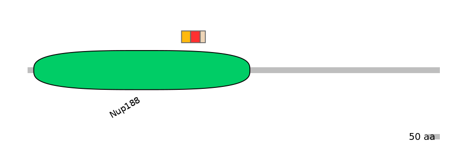 HsaEX0044301-INC