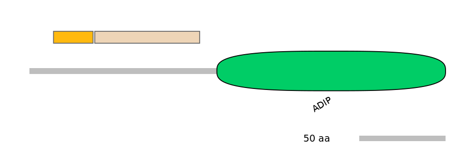 HsaEX0044602-EXC